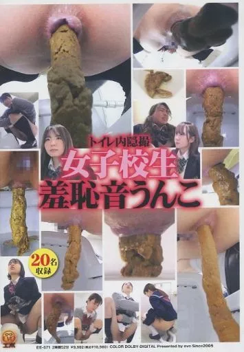 トイレ内隠撮 女子校生羞恥音うんこ
