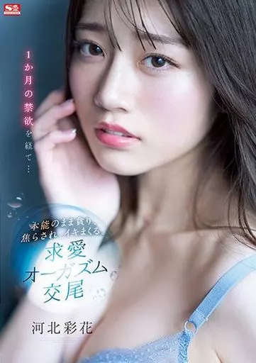 1か月の禁欲を経て…本能のまま貪り、焦らされ、イキまくる。求愛オーガズム交尾 / 河北彩花