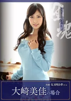 大崎美佳 他 / シリーズ団塊 13 大崎美佳の場合 太刀川公章 64歳