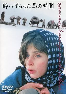 『酔っぱらった馬の時間』('00イラン) セル版DVD＋フライヤー 駿河屋 -<中古>酔っぱらった馬の時間('00イラン)（洋画）