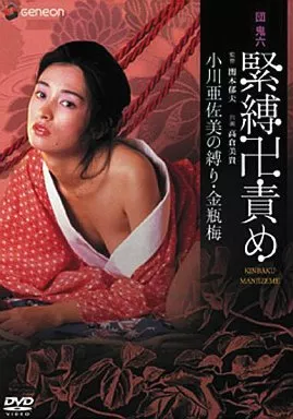団鬼六 緊縛卍責め 小川亜佐美の縛り・金瓶梅