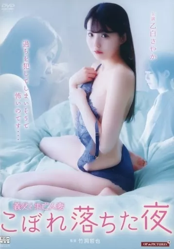 義父と未亡人妻 こぼれ落ちた夜
