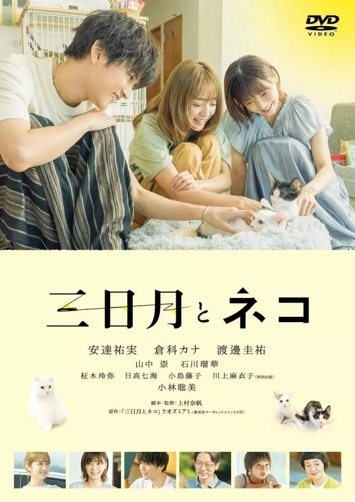 三日月とネコ