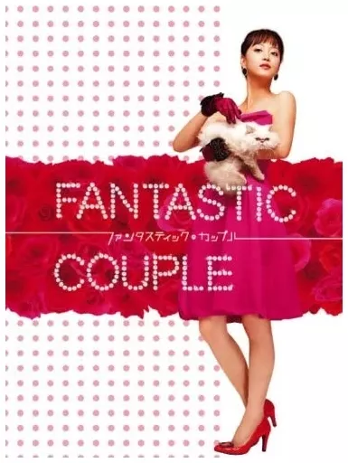 駿河屋 -<中古>ランクB)ファンタスティック・カップル DVD-BOX（海外