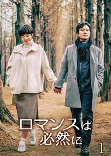 ロマンスは必然に DVD-BOX1 駿河屋 - 【買取】ロマンスは必然に DVD-BOX 1（海外ドラマ）