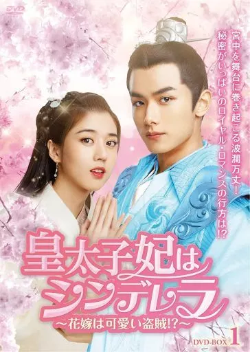 皇太子妃はシンデレラ -花嫁は可愛い盗賊!?- DVD-BOX 1