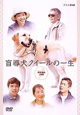 国内TVドラマDVD　盲導犬クイールの一生 DVD-BOX