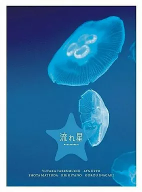 国内TVドラマDVD　流れ星 完全版 DVD-BOX [初回版]