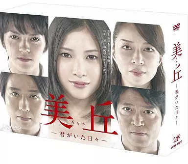 美丘 -君がいた日々- DVD-BOX [通常版]