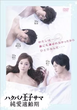 国内TVドラマDVD　ハクバノ王子サマ 純愛適齢期 DVD-BOX