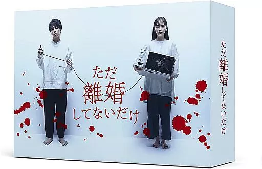 ただ離婚してないだけ DVD-BOX