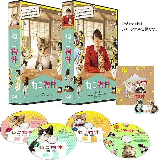 国内TVドラマDVD　ねこ物件 DVD-BOX