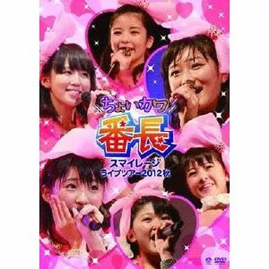 スマイレージ / ライブツアー2012秋 ~ちょいカワ番長~