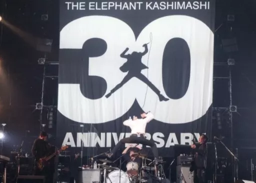 邦楽DVD　エレファントカシマシ / THE ELEPHANT KASHIMASHI 30th ANNIVERSARY TOUR “THE FIGHTING MAN” FINALさいたまスーパーアリーナ [初回限定盤]