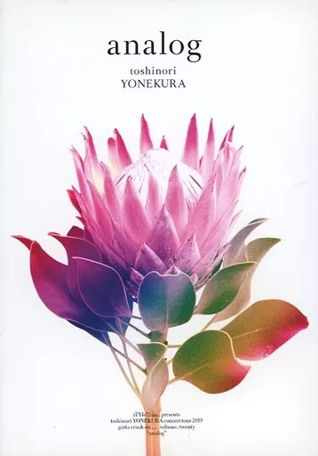 駿河屋 - 【買取】米倉利紀 / analog（音楽）