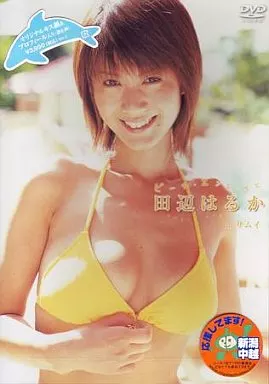 田辺はるか/ビーチエンジェルズinサムイ（ディスクのみ）
