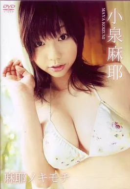 小泉麻耶 / 麻耶ノキモチ