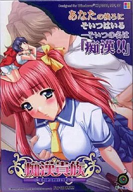 痴漢貴族