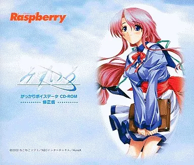 みずいろ がっかりボイスデータ CD-ROM -修正版-