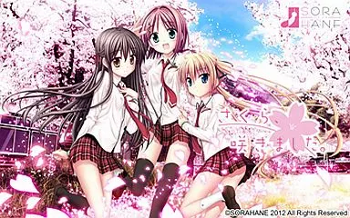さくら、咲きました。[初回版]
