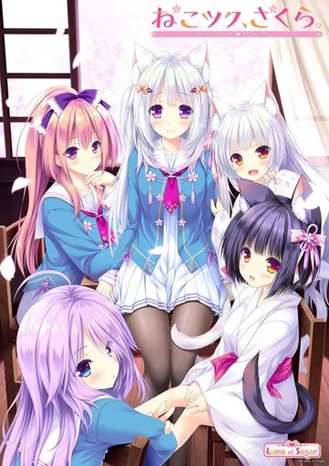 ねこツク、さくら。 [初回版]