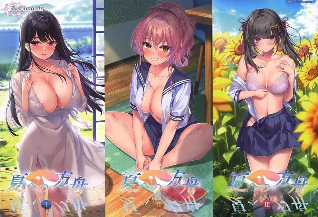 夏への方舟1・2・3パック