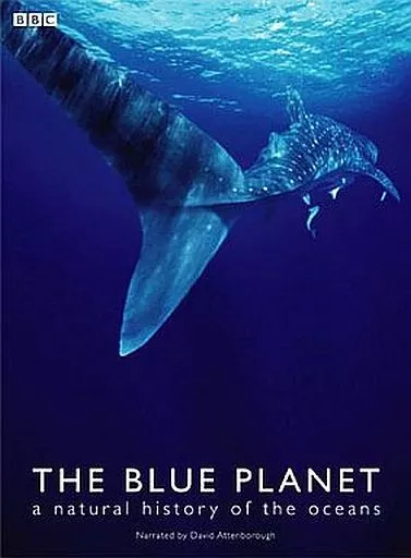 駿河屋 - 【買取】THE BLUE PLANET ブルー・プラネット DVD-BOX