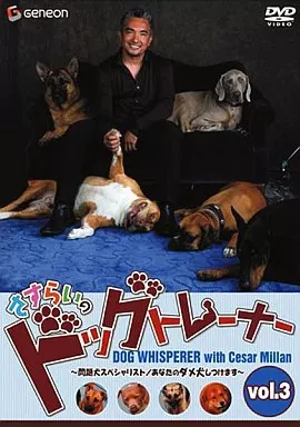 さすらいのドッグトレーナー Vol.3 さすらいのドッグトレーナー Vol.3 さすらいのドッグトレーナー vol.3