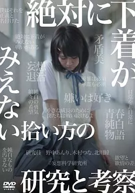 絶対に下着がみえない拾い方の研究と考察