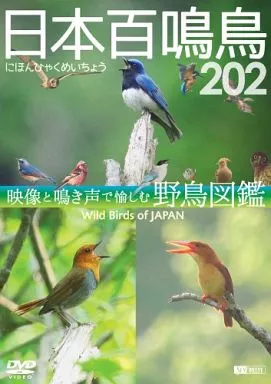 日本百鳴鳥202 映像と鳴き声で愉しむ野鳥図