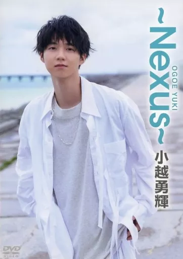 その他DVD　小越勇輝 ～Nexus～