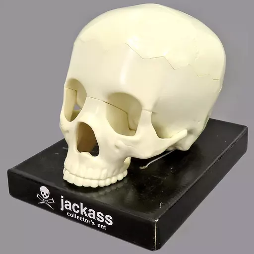 ジャッカス　スカルBOX 駿河屋 -<中古>不備有)ジャッカス スカルBOX [Amazon.co.jp限定](状態