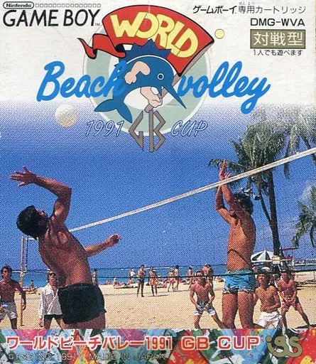 ワールドビーチバレー 1991GB CUP_img