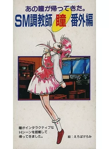 SFC SM調教師瞳 番外編 スーパーファミコン 希少 西武企画