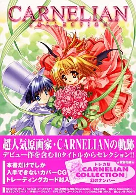 駿河屋 -<中古><<イラスト画集>> カーネリアンコレクション ゲーム