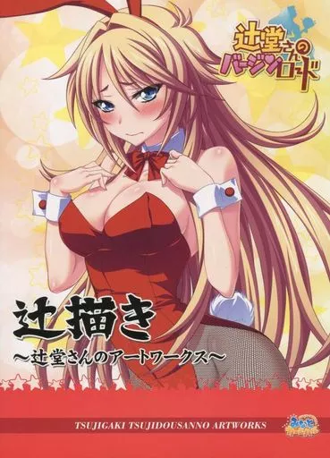 駿河屋 -【アダルト】<中古><<PC・スマホゲーム書籍>> 辻描き -辻堂 