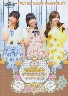 <<パンフレット>> パンフレット RADIO THE IDOLM＠STER CINDERELLA GIRLS DERERADI -サマデレ2014-
