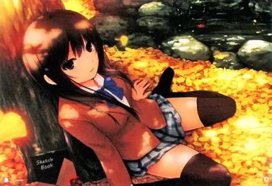 アニメムック　珈琲貴族 A3アクリルボード「色落ち葉」 駿河屋 -<中古>珈琲貴族 A3アクリルボード「色落ち葉」（漫画