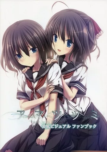 駿河屋 -【アダルト】<中古><<PC・スマホゲーム書籍>> アマ