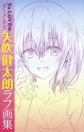 駿河屋 -<中古><<アニメ・漫画系書籍>> ToLOVEる-とらぶる