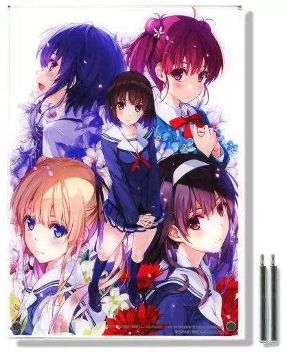 駿河屋 -<中古>冴えない彼女の育てかた アクリルボード E(CS版
