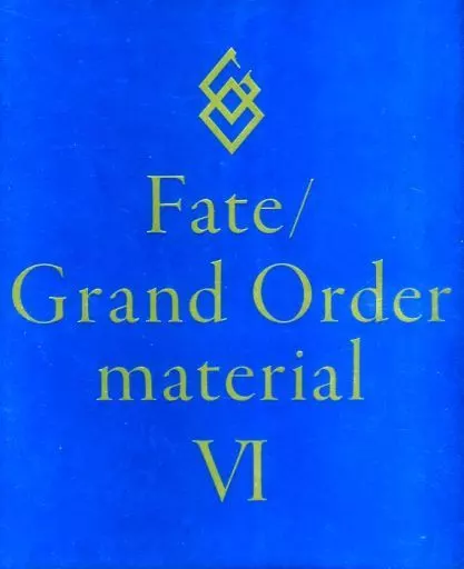 付属品付)Fate/Grand Order material VI