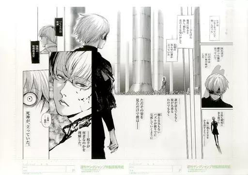 東京喰種 複製原稿〜溢花〜 駿河屋 - 【買取】『東京喰種』 トーキョーグール 複製原稿-溢花