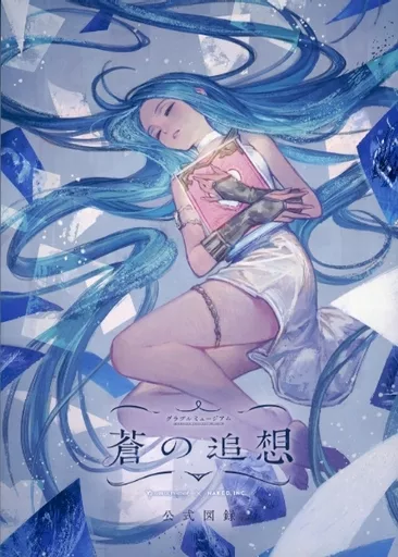 駿河屋 - 【買取】<<パンフレット>> パンフレット グラブル