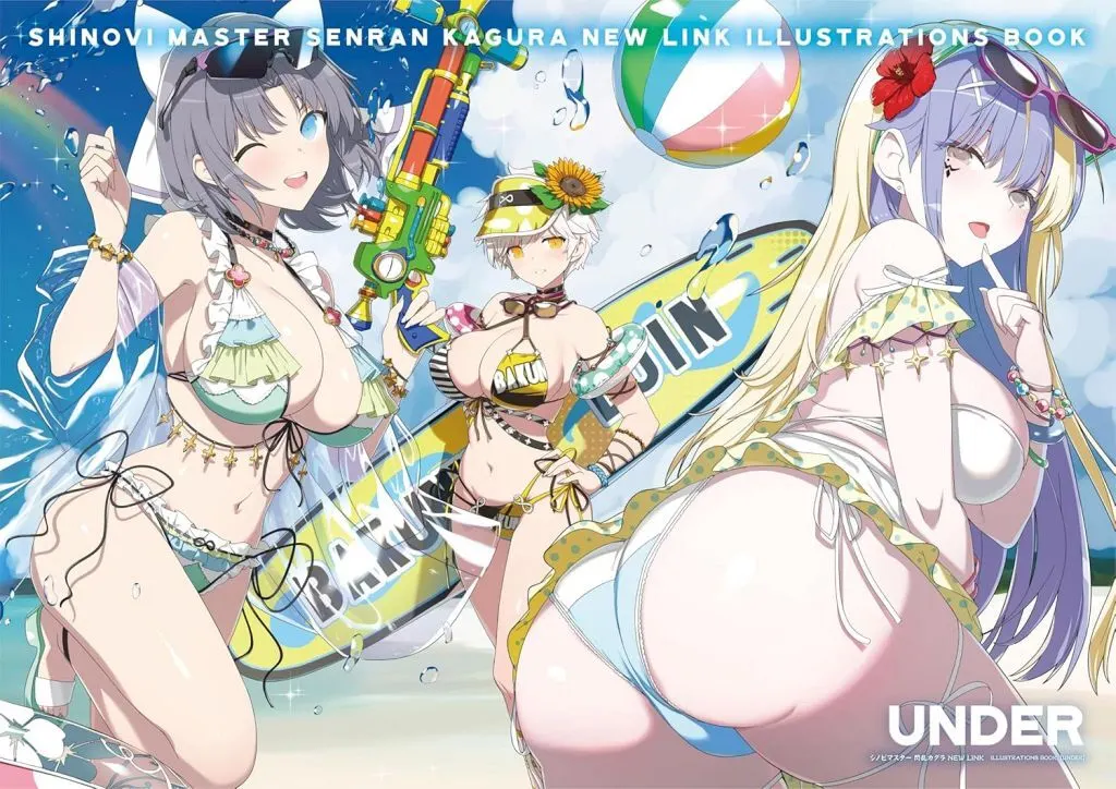 アニメムック　シノビマスター 閃乱カグラ NEW LINK　ILLUSTRATIONS BOOK【UNDER】