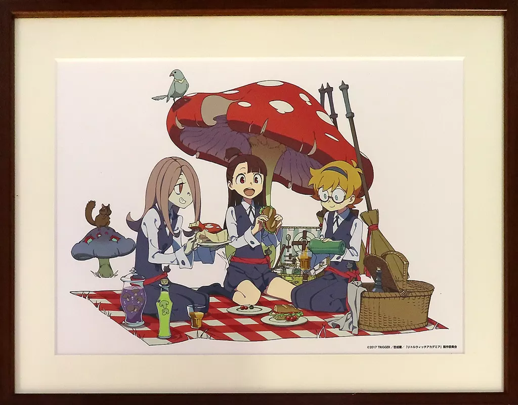 セル画・原画　不備有)付属品付)リトルウィッチアカデミア 額装イラスト(状態：額にキズ有)