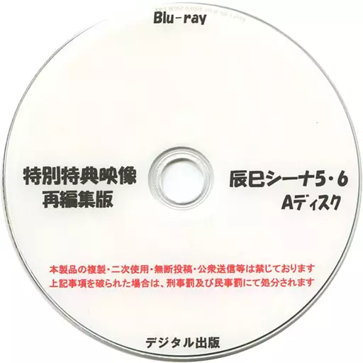 特別特典映像再編集版 辰巳シーナ 5・6 Aディスク / デジタル出版