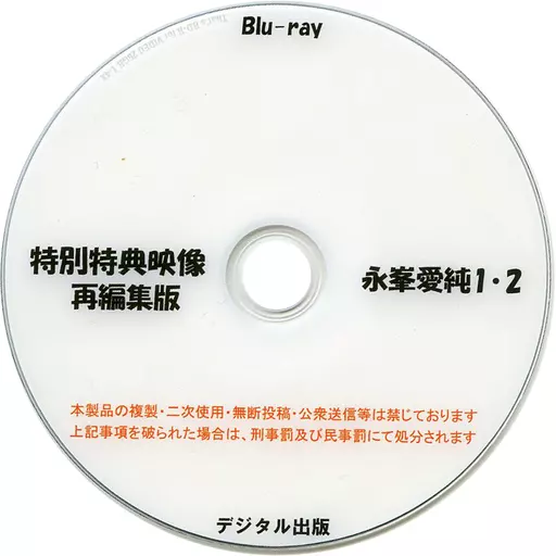 特別特典映像再編集版 永峯愛純 1・2 / デジタル出版