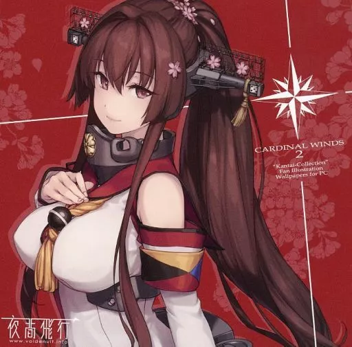 CARDINAL WINDS 2 / 夜間飛行