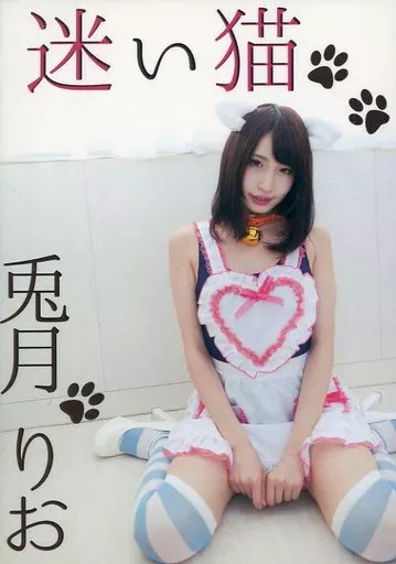 迷い猫 / 黒兎